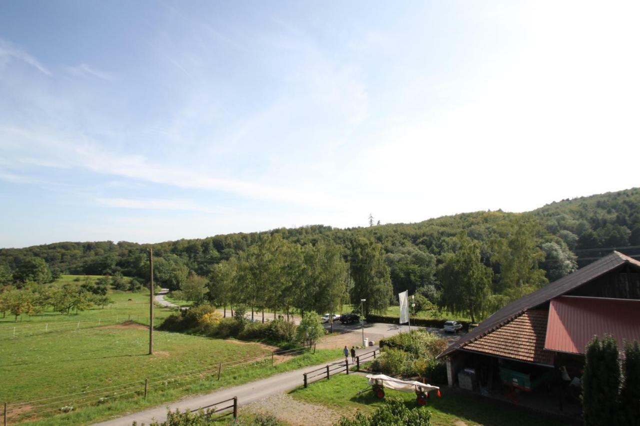 Ferienwohnung Edelbrenner Rimbach  Exterior foto